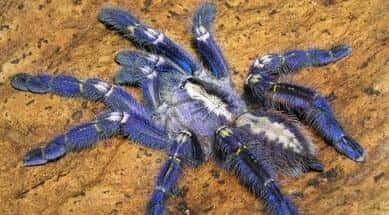 宇宙十大恐怖生物!（宇宙十大恐怖生物）