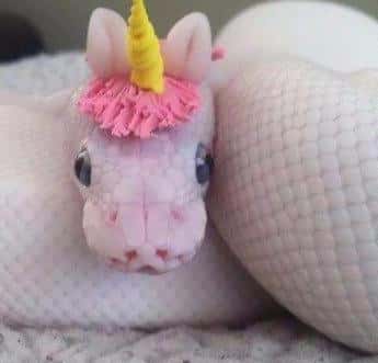 宇宙十大恐怖生物!（宇宙十大恐怖生物）