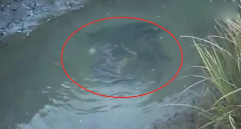 四川雅女湖旅游攻略(四川雅女湖在哪里)