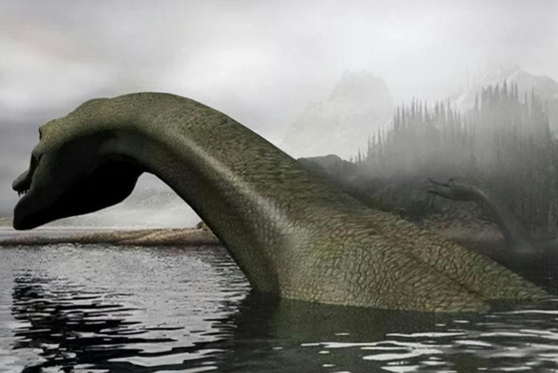 四川雅女湖旅游攻略(四川雅女湖在哪里)