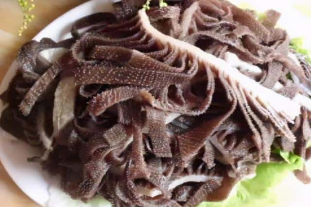 牛有几个胃分别有什么作用(牛几个胃分别叫什么)