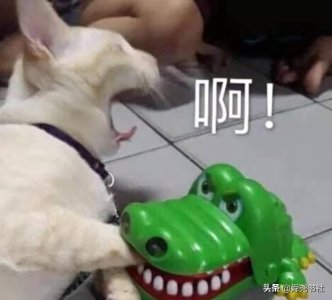 ​太监是割掉的什么部位(太监没割干净还会长出来吗)