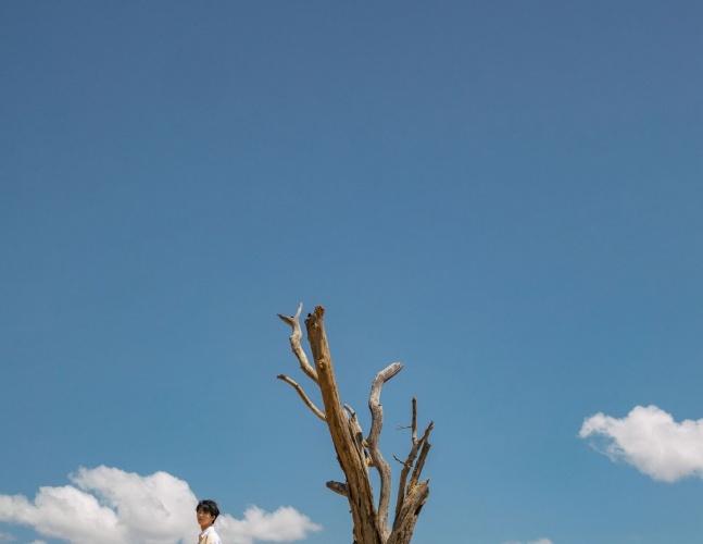 越野风情！王俊凯非洲写真 坐车顶眺望远方风景