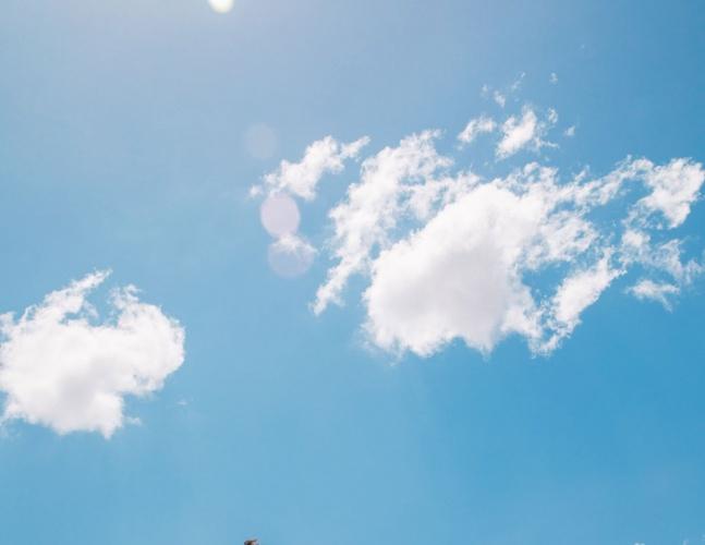 越野风情！王俊凯非洲写真 坐车顶眺望远方风景