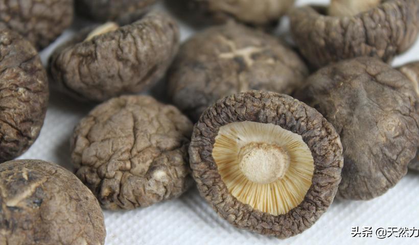 花菇和香菇的营养价值和区别（花菇和香菇的区别）