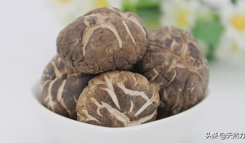 花菇和香菇的营养价值和区别（花菇和香菇的区别）