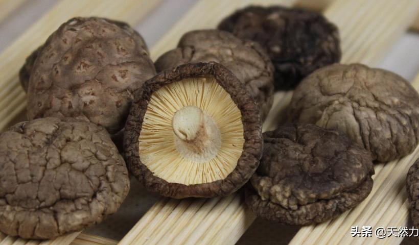 花菇和香菇的营养价值和区别（花菇和香菇的区别）