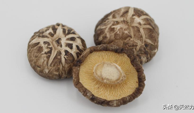 花菇和香菇的营养价值和区别（花菇和香菇的区别）