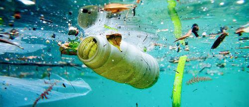 马里亚纳海沟最深有多少米（世界最深的海沟位于哪个大洋）