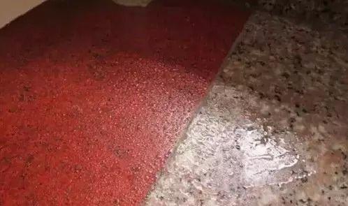 回南天八个小妙招防潮祛湿(回南天来了教你除湿妙招)(1)