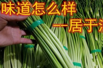 ​10月份的蒜苔是哪里产的