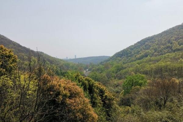 5、肥东龙湖公园、小黄山森林公园、方兴湖公园