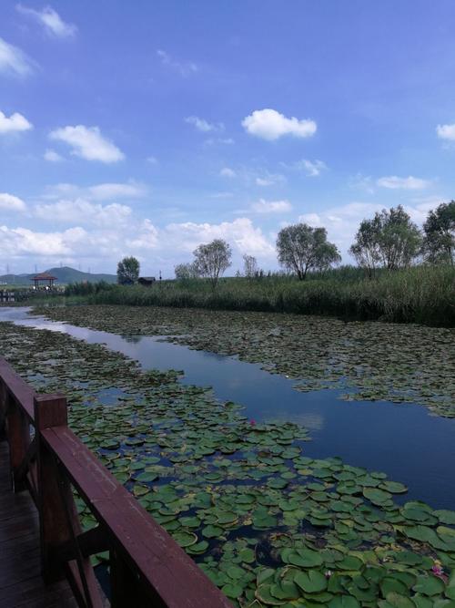 3、滨湖湿地公园