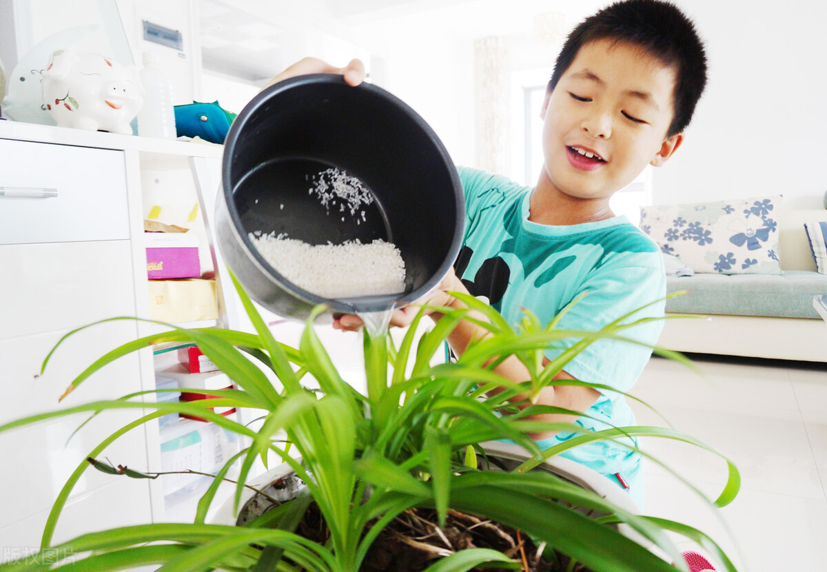 淘米水能洗脸-（长期用淘米水洗脸有什么坏处影响）