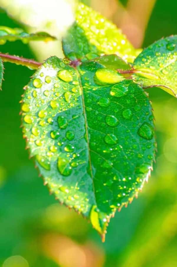 人只有在低谷才能看清人心(遇事了才知道人情冷暖)