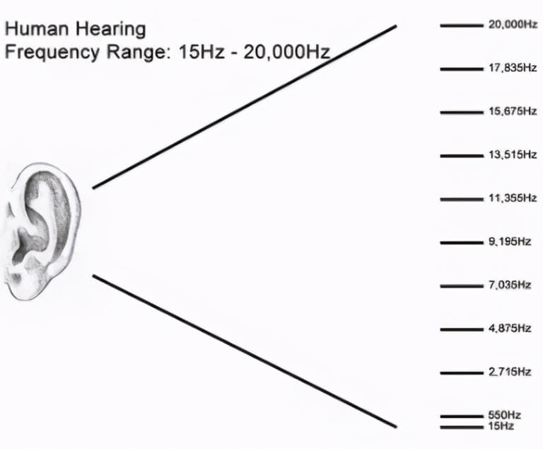 钢琴有多少键-黑白键分别是多少-（钢琴黑白键一共有多少个）