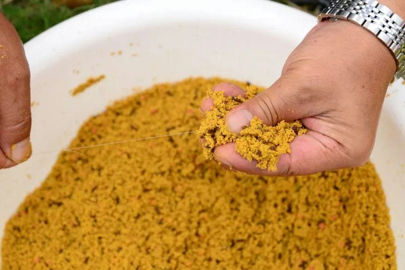 野生鲫鱼喜欢吃什么-（鲫鱼喜欢吃什么食物）