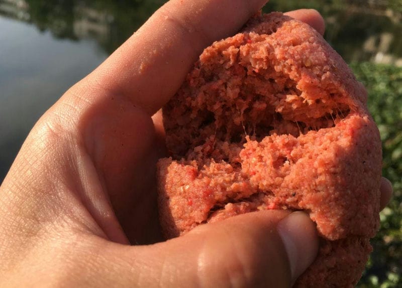 野生鲫鱼喜欢吃什么-（鲫鱼喜欢吃什么食物）