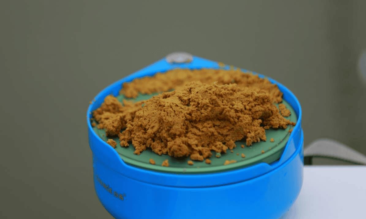 野生鲫鱼喜欢吃什么-（鲫鱼喜欢吃什么食物）