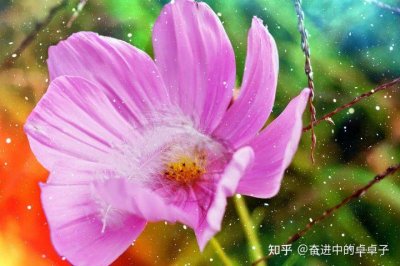 ​实现人生理想的根本途径是什么（如何实现理想和人生价值）