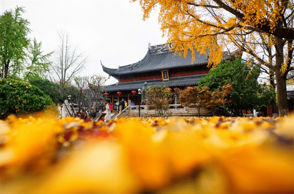 金陵是哪个城市(南京为何叫金陵)