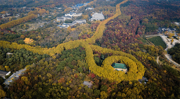 金陵是哪个城市(南京为何叫金陵)