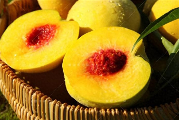 中国三大黄桃产地(黄桃哪里产地好吃)