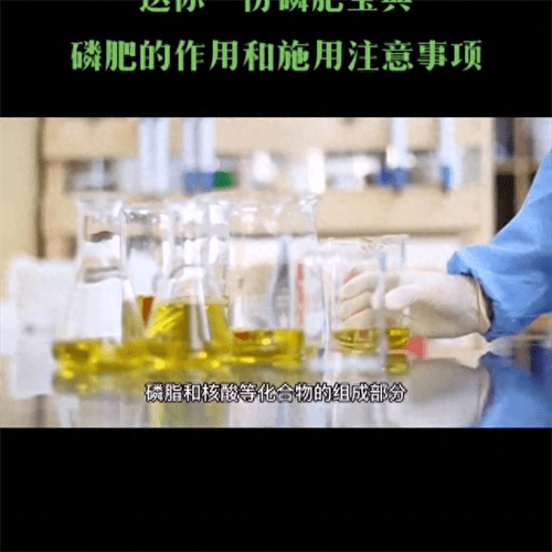 磷肥主要起什么作用(磷肥的施用方法)