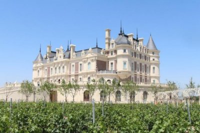 ​新疆红酒城堡(波尔格城堡红酒价格)