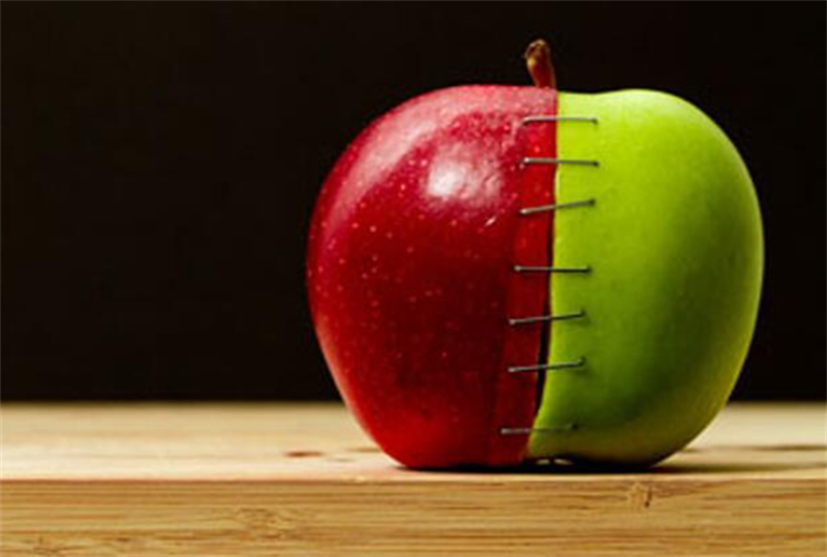 植物的遗传密码可以修改吗(植物的遗传密码怎么修改)