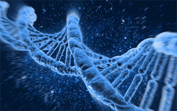 植物的遗传密码可以修改吗(植物的遗传密码怎么修改)