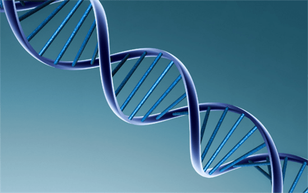 植物的遗传密码可以修改吗(植物的遗传密码怎么修改)