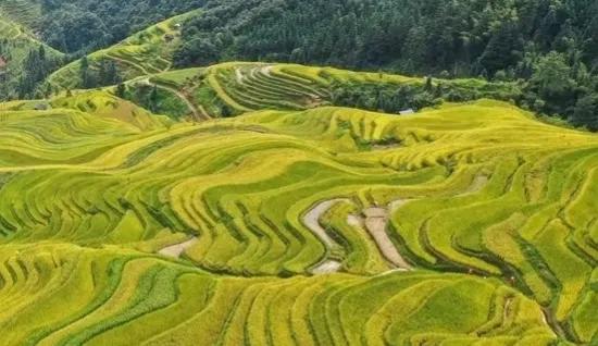 农村人怎么才能致富(农村人在家干什么挣钱)