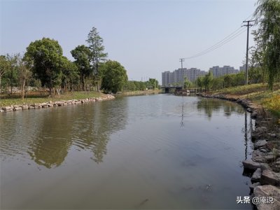 ​上海重固“全国文明城镇+国家卫生镇”：一个被河水拥抱的小镇
