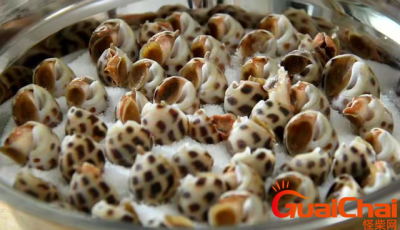 ​美味花螺有哪些部位不能吃?怎么做才好吃?