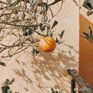 ​「耽推」《入戏》作者：童子︱娱乐圈文，构思奇妙，结局反转