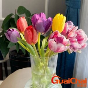 ​郁金香能放卧室吗有毒吗？郁金香可不可以放卧室