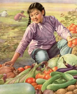 ​军嫂文：前世她被敲了闷棍，重生60年代竟成了特级上将的新婚军嫂