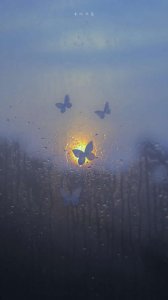 ​情人节句子浪漫语录（心动！适合情人节发的文案，文艺又高级）