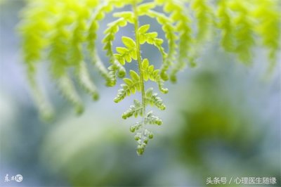 ​临床心理科是干嘛的 什么是临床心理学？对人类健康发展有什么作用？