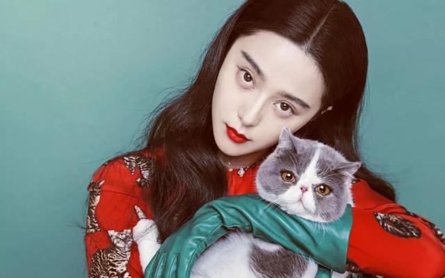 在1996年发生了什么 早在1996年就已经注定(16)