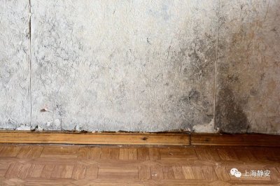 ​墙面发霉怎么彻底解决干净 不用愁！只要一招，快速去除！