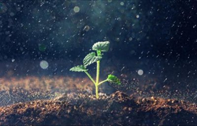 ​翻手为云覆手雨，下一句更经典，诗圣一句话骂尽嫌贫爱富之人