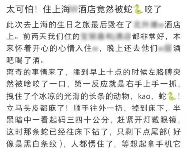 ​旅客住知名酒店被蛇咬伤！关键蛇还没找到…