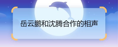 ​岳云鹏和沈腾合作的相声 岳云鹏和沈腾合作的相声是什么