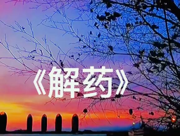 解药原唱是孙紫晴还是颜小健