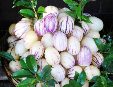 ​人参果怎么吃正确方法（你还在生吃人参果吗？来看看人参果正确吃法）