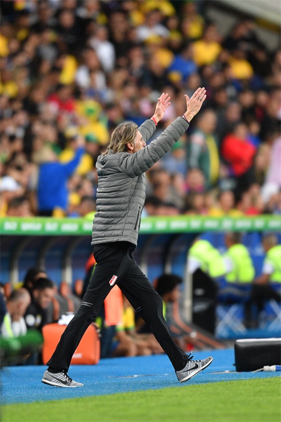 足球——美洲杯：巴西夺冠