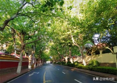 ​频频刷爆屏的青岛大学路