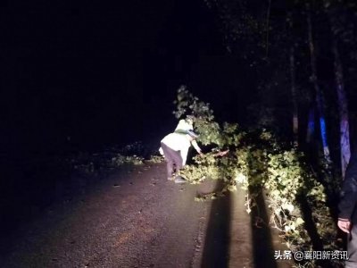 ​襄阳一大货车深夜惊魂一幕，连续撞树侧翻在农田中